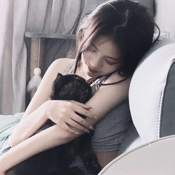 豪姬